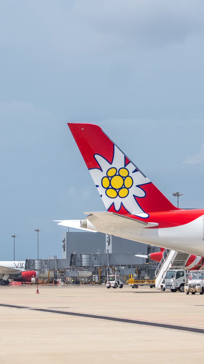 Every tail has a story, where will it take you next?