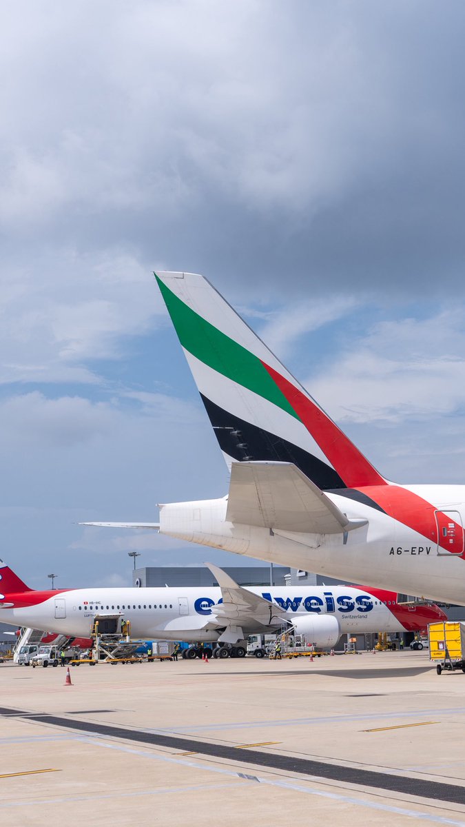 VelanaAirport's tweet photo. Every tail has a story, where will it take you next? https://t.co/6Wbsi2VWbZ