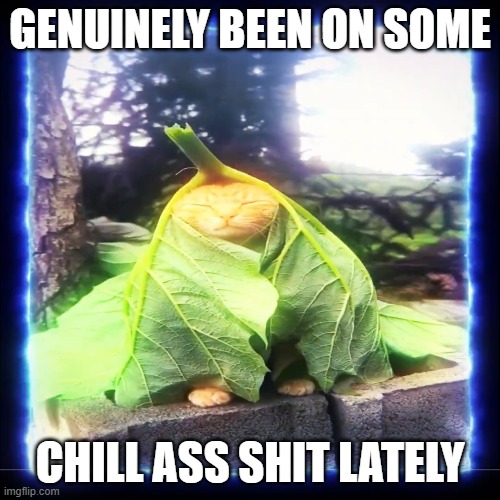 FlackoBell's tweet photo. @memesbreakcore https://t.co/P1ln1UKdsf
