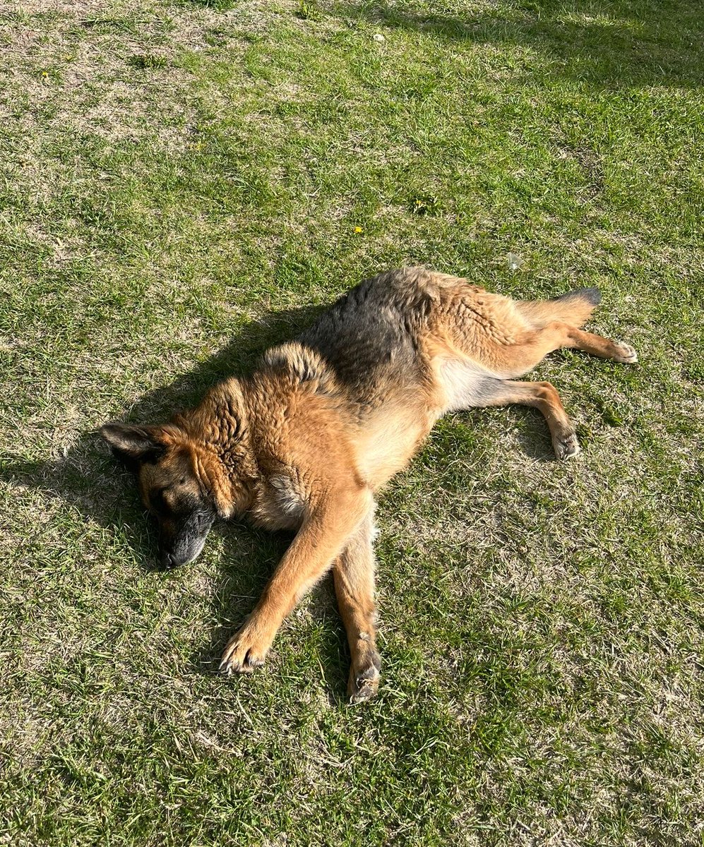 izan ışık tweet media