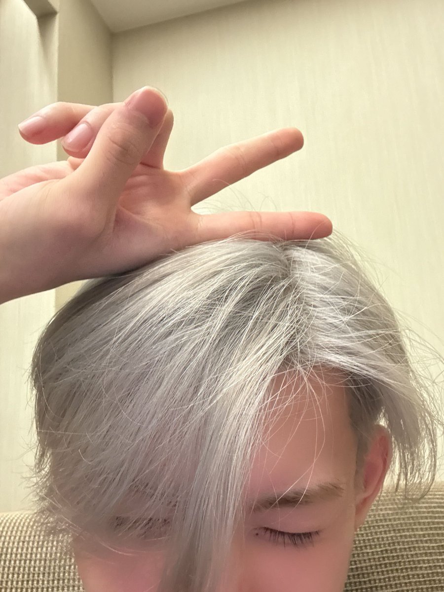 ⭑jo .ᐟ tweet media