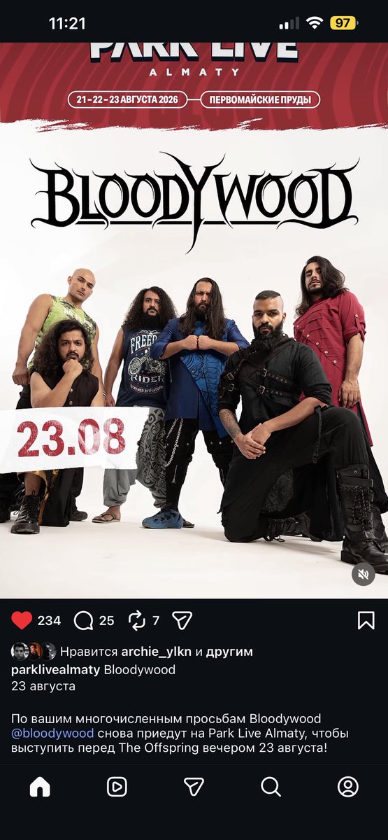 Манул на разжировке tweet media