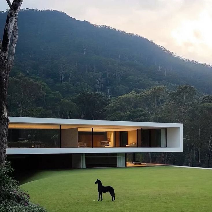 Liberalismo Lifestyle tweet media