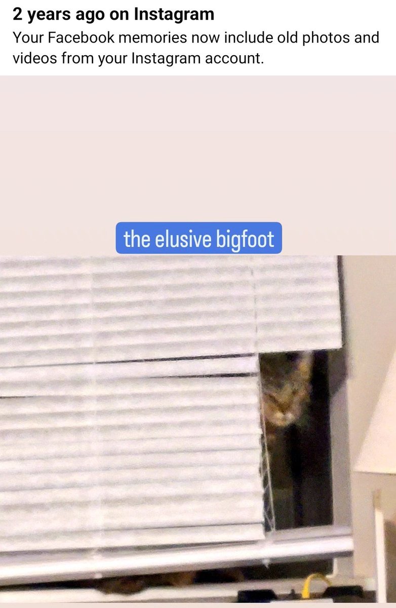 rachel is cringe tweet media