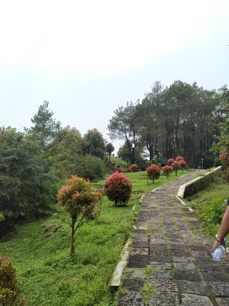 ann / hype back ya☁ tweet media