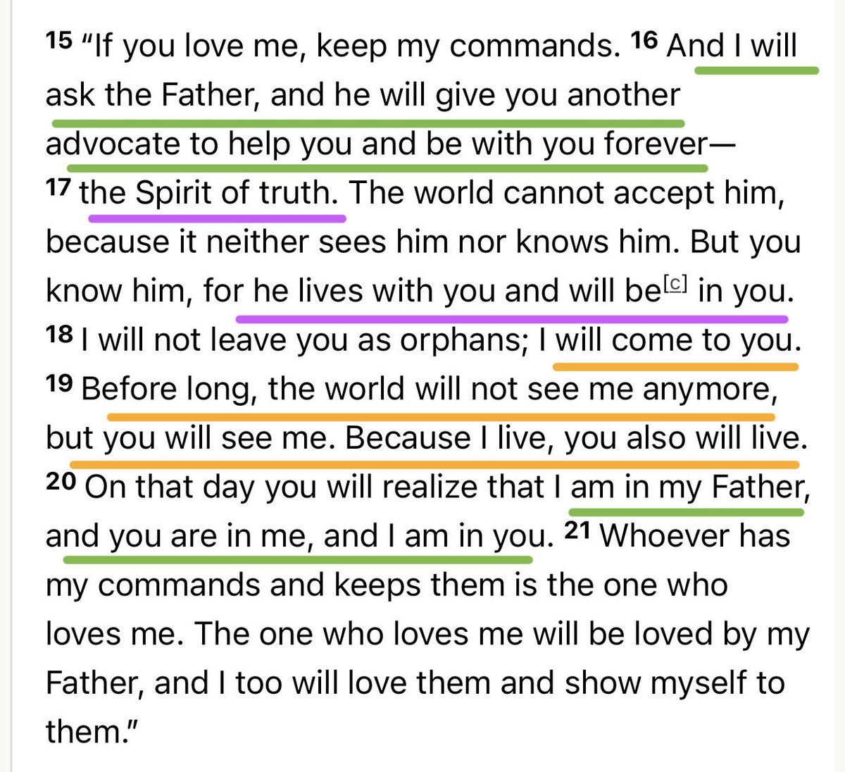 RealVinnieJames tweet media