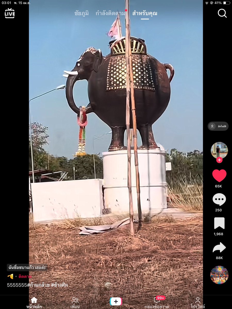 พี่จ่าดอ.(slow) tweet media