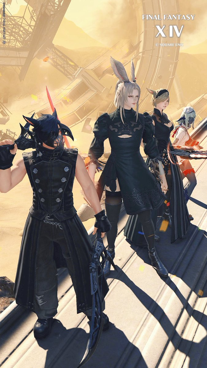 ELIO🐈⸒⸒⸒⸒🐾 tweet media