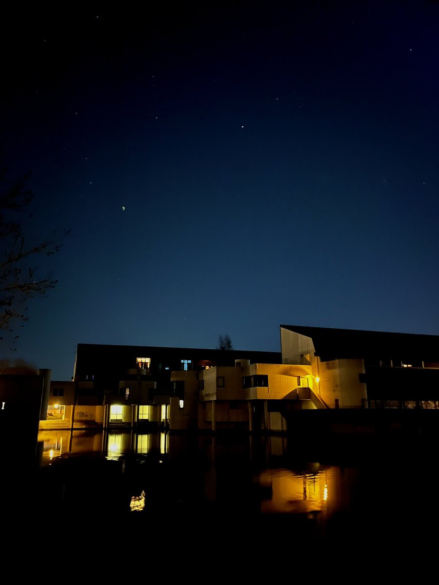 lrk 🥊 tweet media