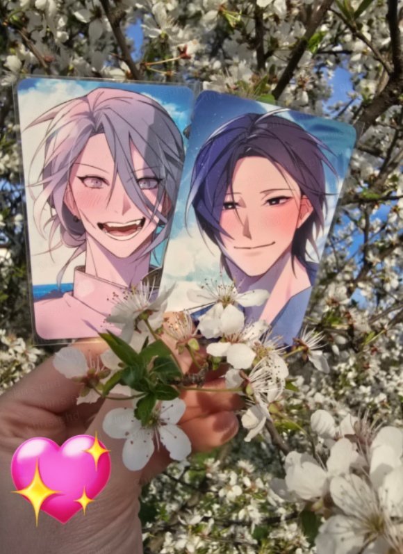 chris_phd_'s tweet image. ~ 🌸 ~ 
@DactoGongji
#창없는방  #legroom