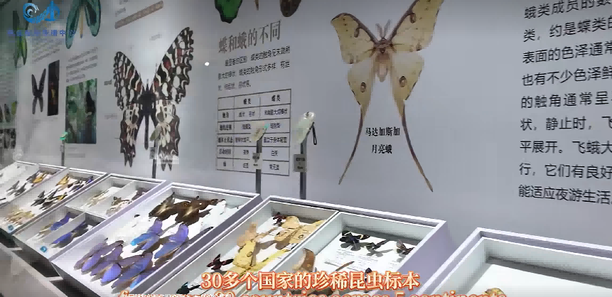 Tasty_Yantai's tweet image. 来自世界各地的外国朋友们，跨越山海，与你相约仙境烟台！#Z世代
Friends from all over the world meet you in #Yantai for an amazing #journey!
Connect through youth, explore Yantai with footsteps, share friendship with smiles, and show the world the endless #charm of this fairyland.