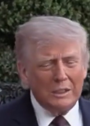 Cath de Jong tweet media