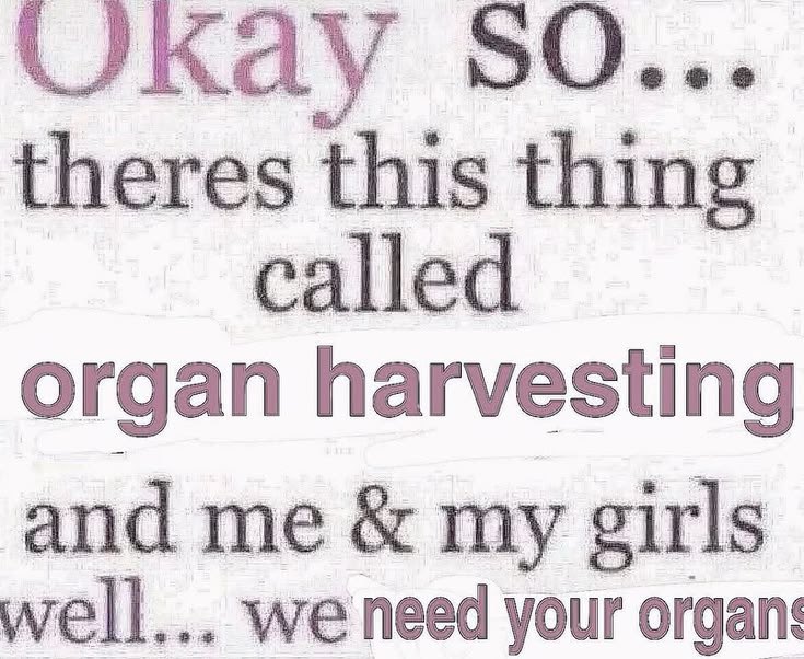 ‍ ‍ 𝖈e𝖒etery ‍⚰︎ ‍𝔩ady ‍ tweet media