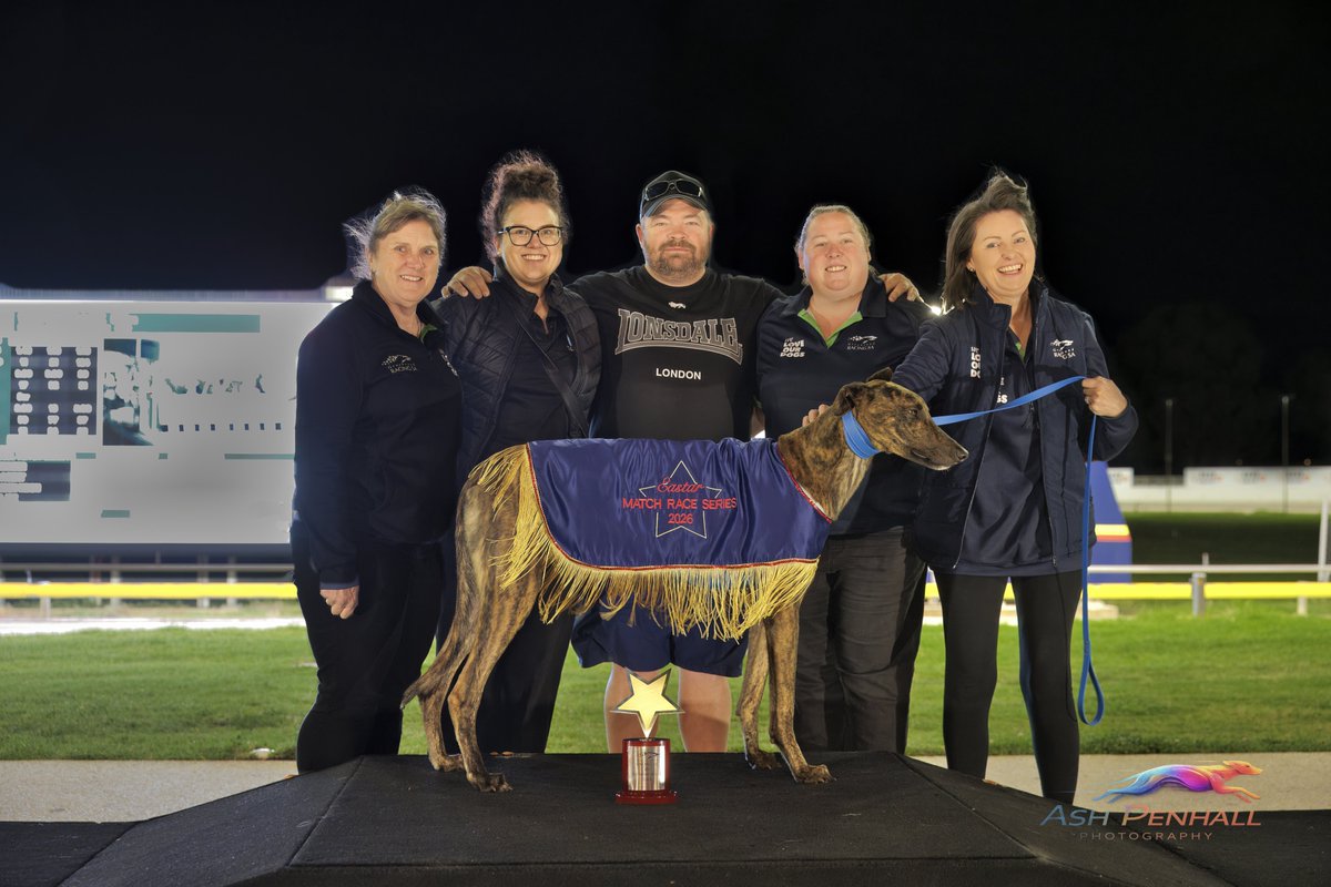 Greyhound Racing SA News tweet media