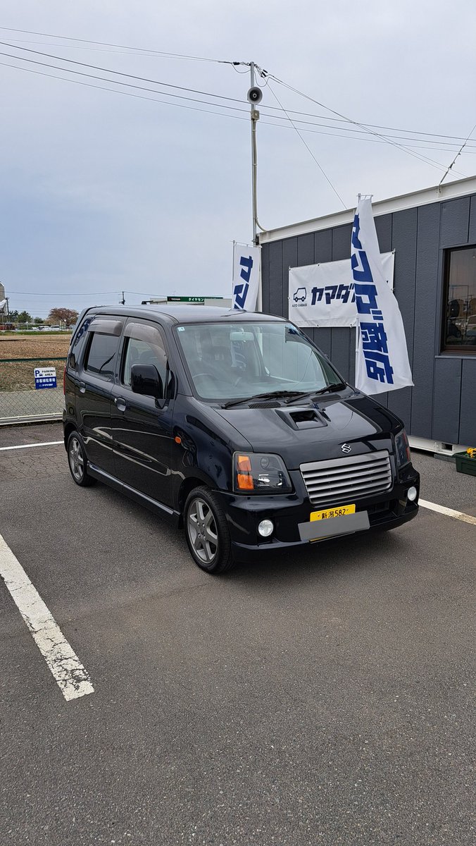 ねこまんま tweet media