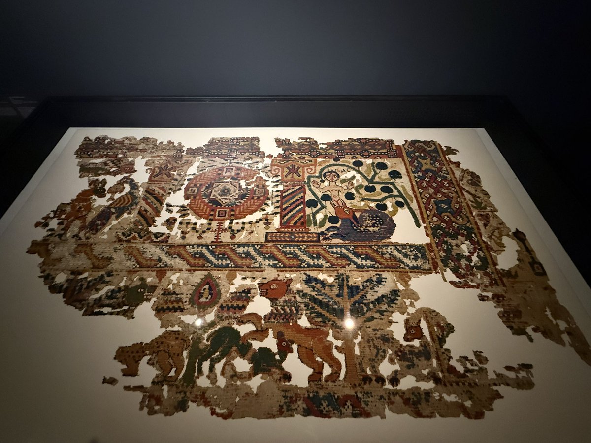 Sylvain Maillard tweet media