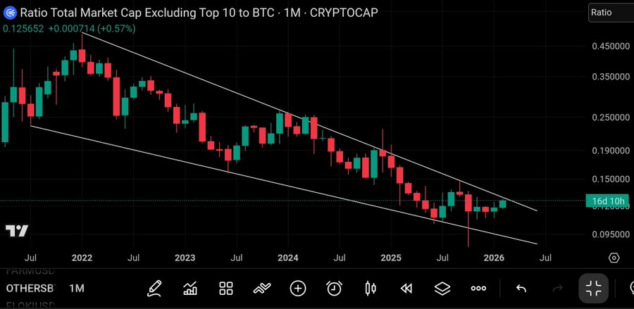 Hailey LUNC XRP tweet media