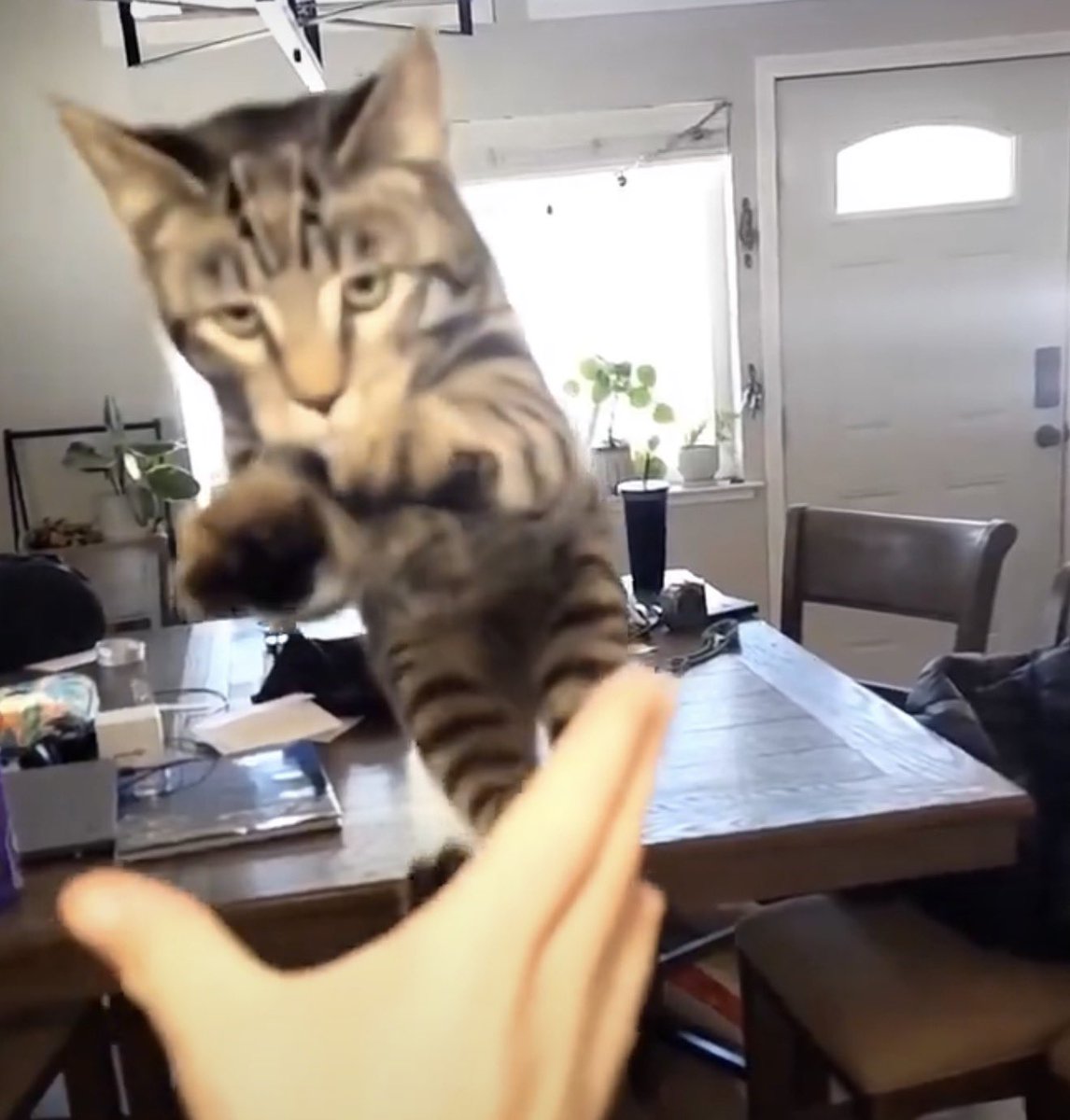 Mr Rebound🐐 tweet media