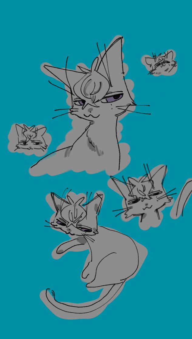 iPadにしたので色々試し書きがてら☁️猫