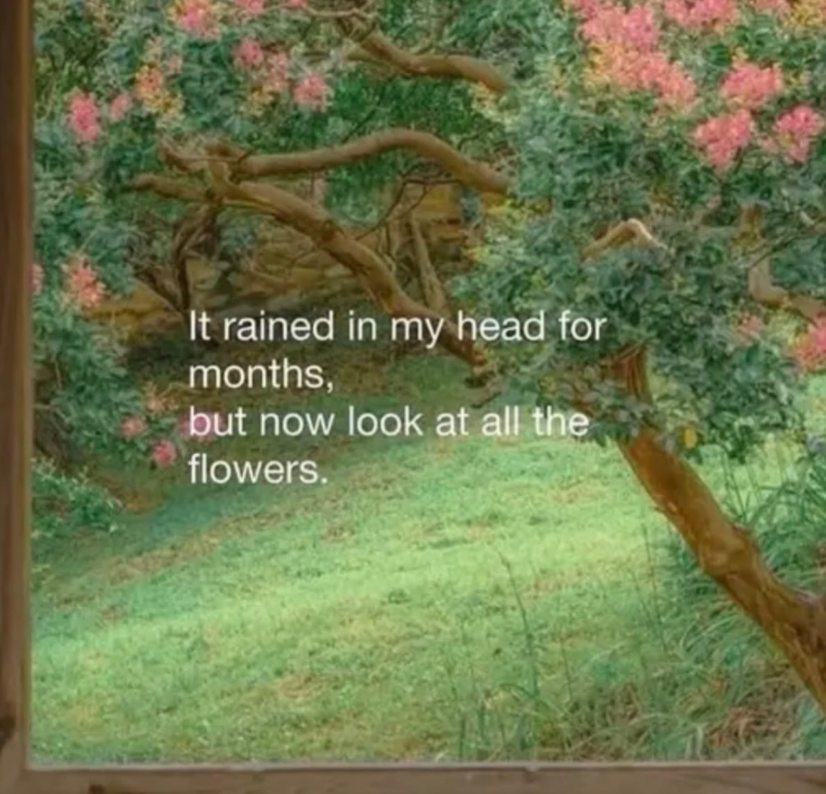 Respectful Memes (@respectfulmemes) on Twitter photo 