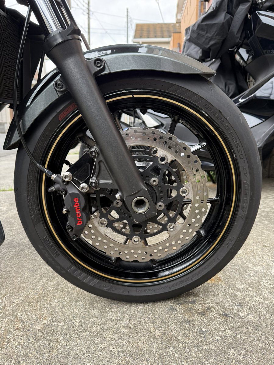 せーご{DAEG} tweet media