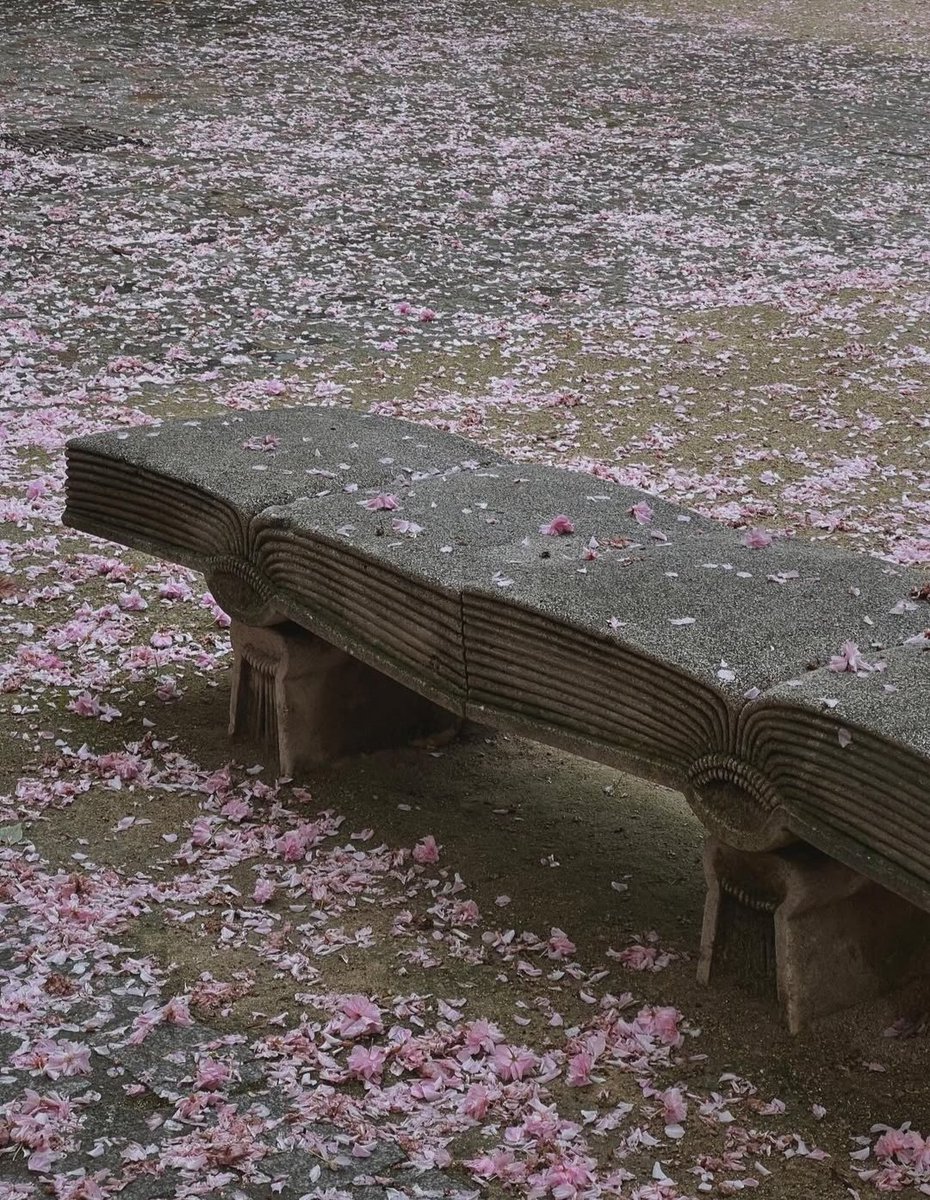 April moments in Paris 🌸