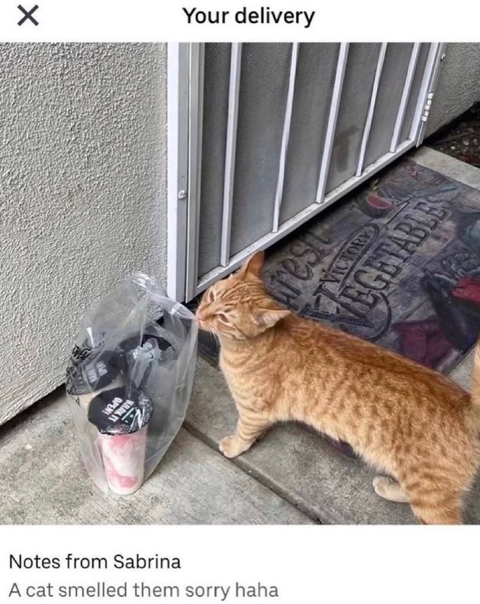 Respectful Memes tweet media