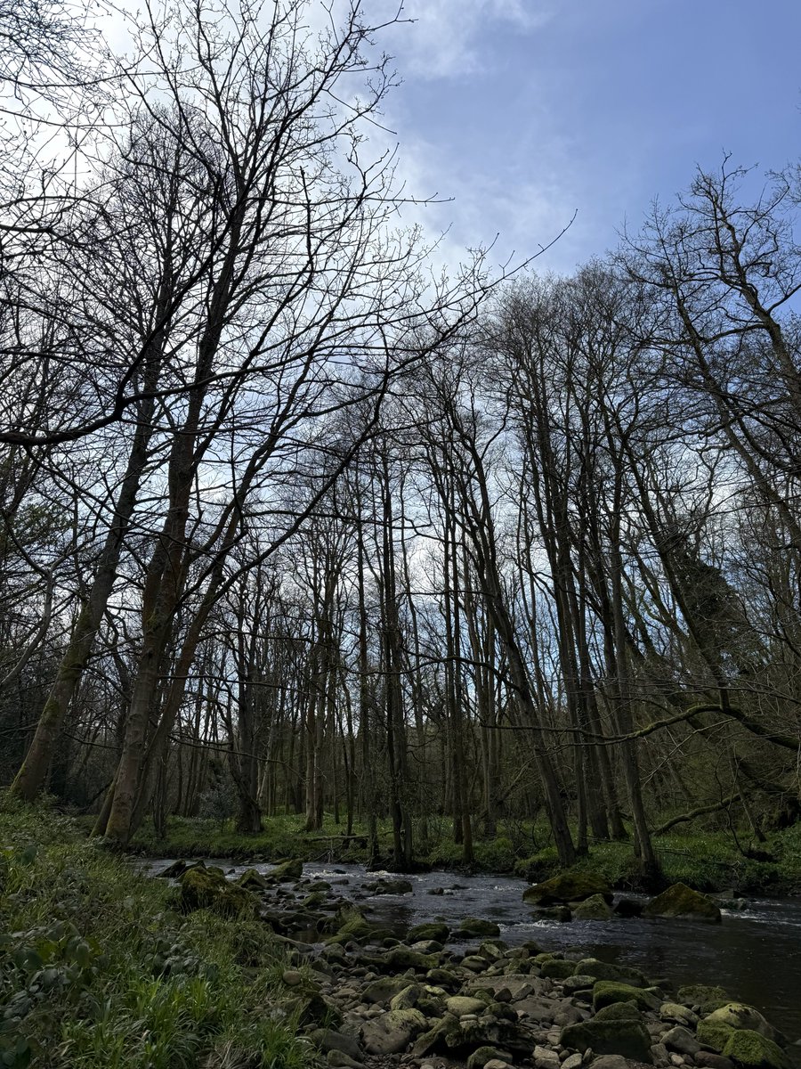 Jacquelineyorks's tweet image. Good morning, I hope you have a wonderful day. By the river #NorthYorkshire