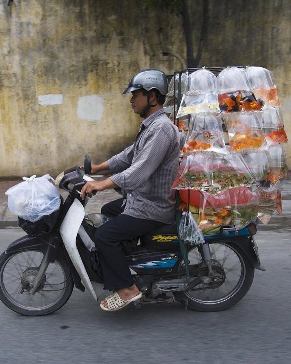 Eye On Axis tweet media