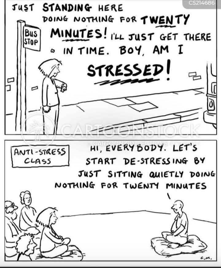 Милена tweet media