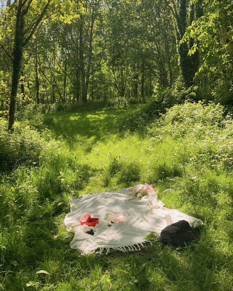 ameliazoe_'s tweet image. connect with nature