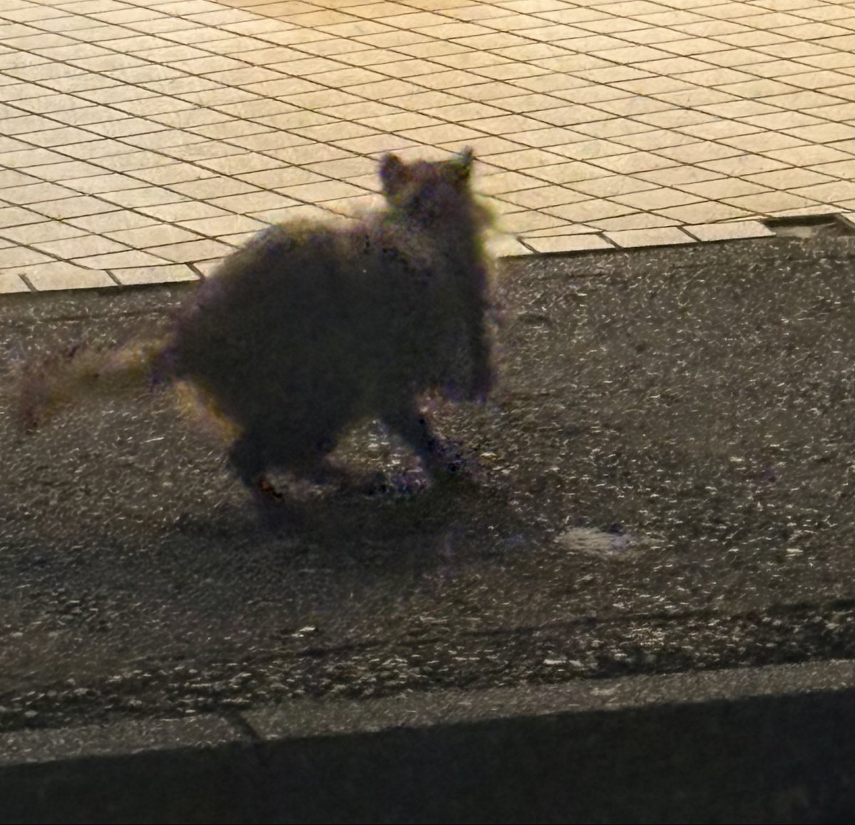 はまれぽ.com tweet media