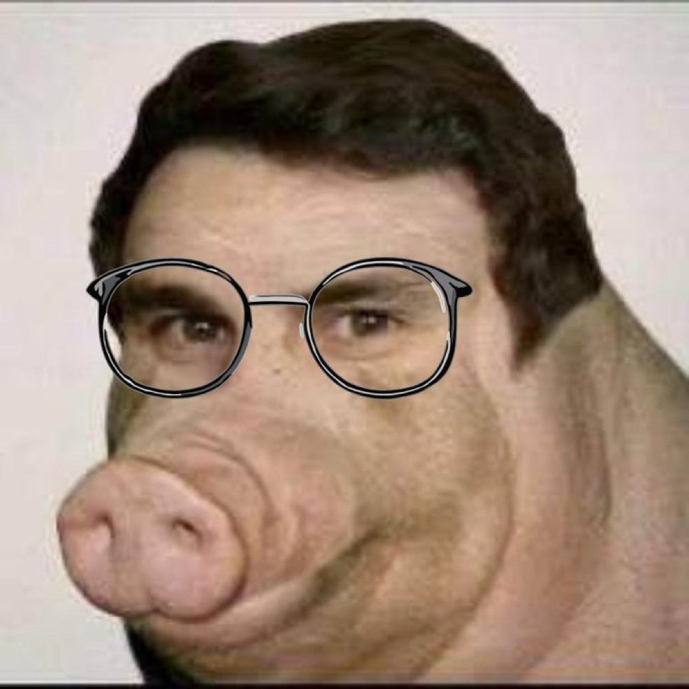 Boarcto tweet media