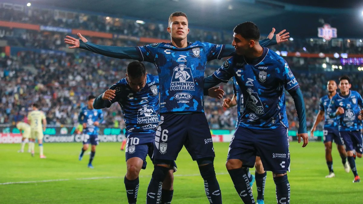 ⭐️⭐️⭐️⭐️⭐️⭐️⭐️ tweet media