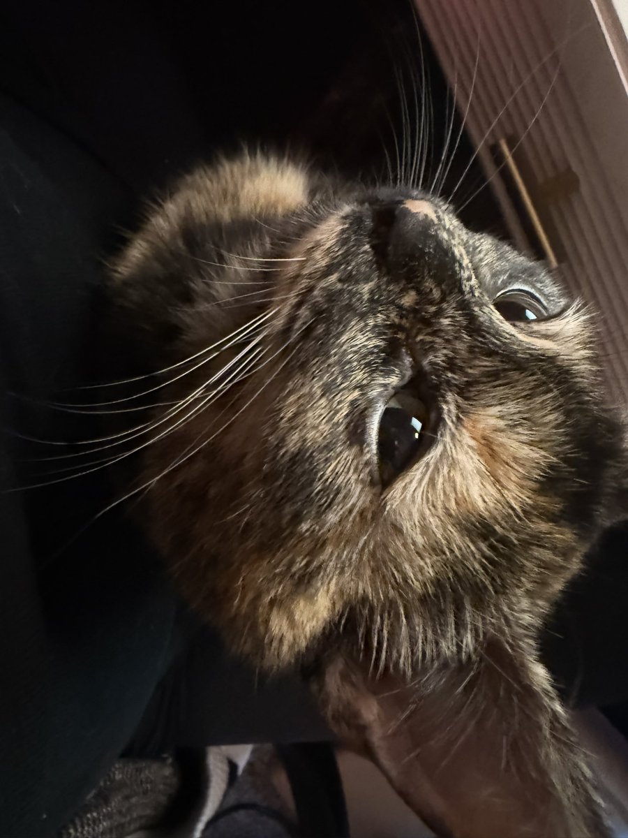 rottenkit_'s tweet photo. You got games on your phone? https://t.co/YQfAC8PujB