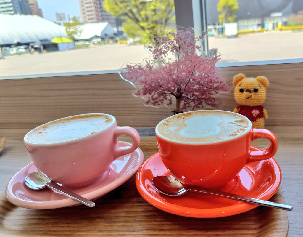 🌸もりこ🌳 tweet media