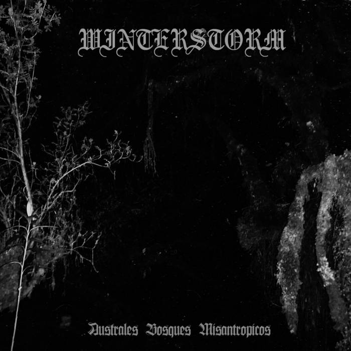 yr_saul's tweet image. 🇪🇨 Winterstorm - Australes Bosques Misantropicos (2025)
Raw Black Metal

#Winterstorm #AustralesBosquesMisantropicos #RawBlackMetal #Ecuador #Underground 
winterstorm3.bandcamp.com/album/australe…