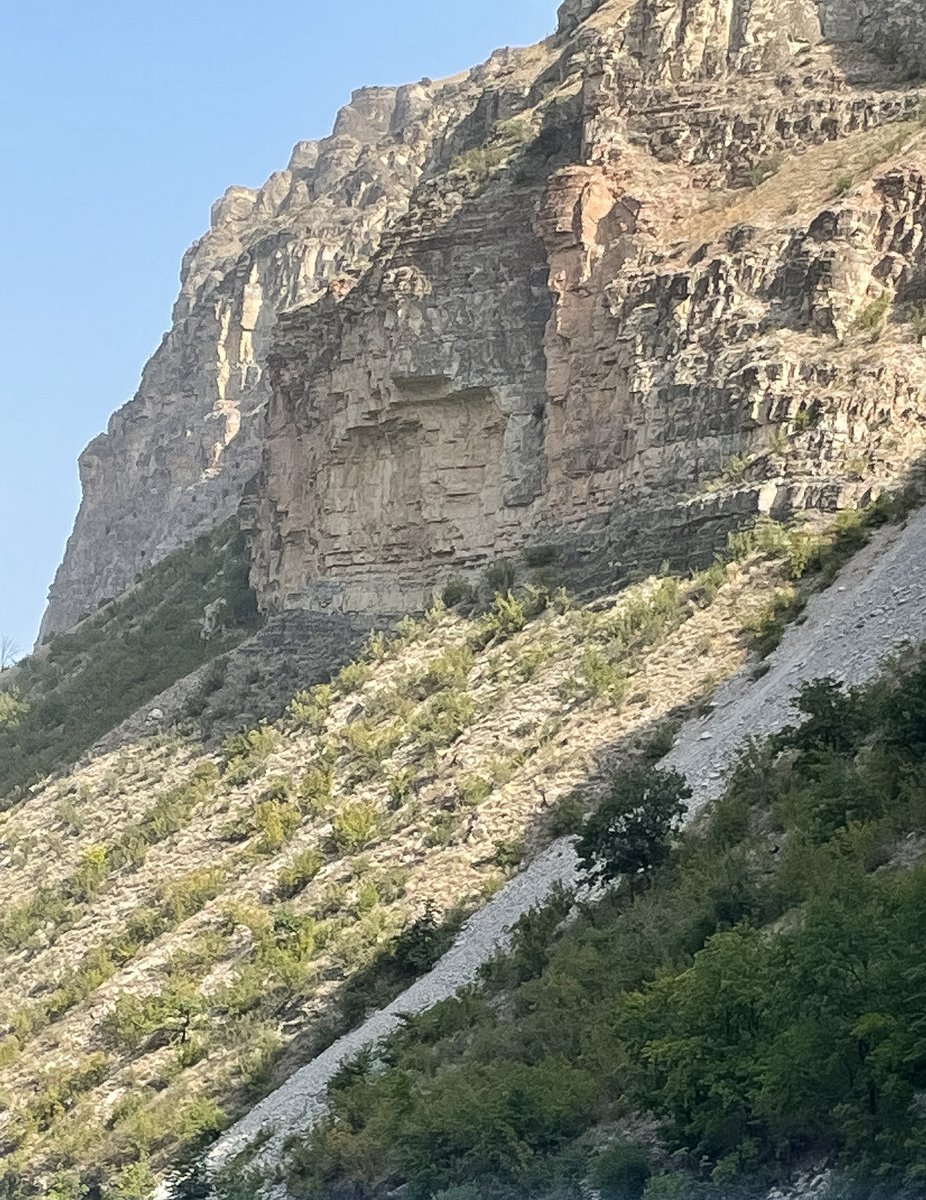 Станислав tweet media