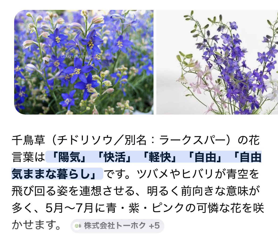 山中雄輔 tweet media