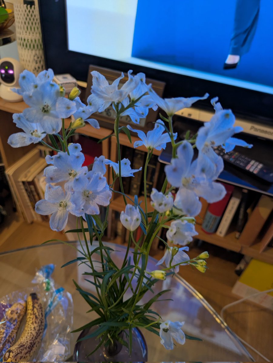 山中雄輔 tweet media