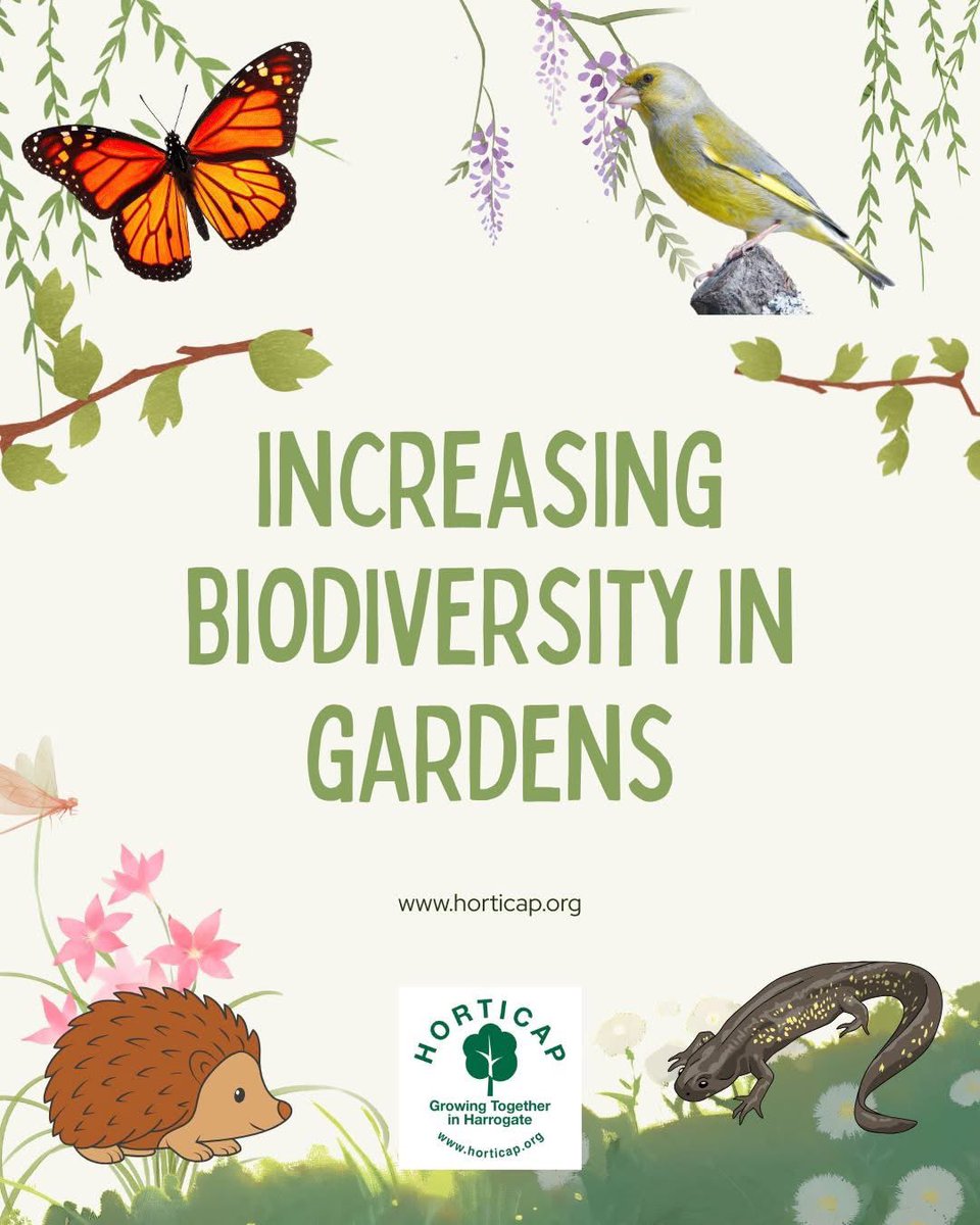 Horticap's tweet image. @BBCMorningLive are reshowing a film where they came to Horticap to talk about increasing biodiversity in gardens. It should be on this morning (Wednesday), sometime between 9.30am and 10.45am. #Harrogate #UKcharity #learningdisabilities #horticulture #biodiversity