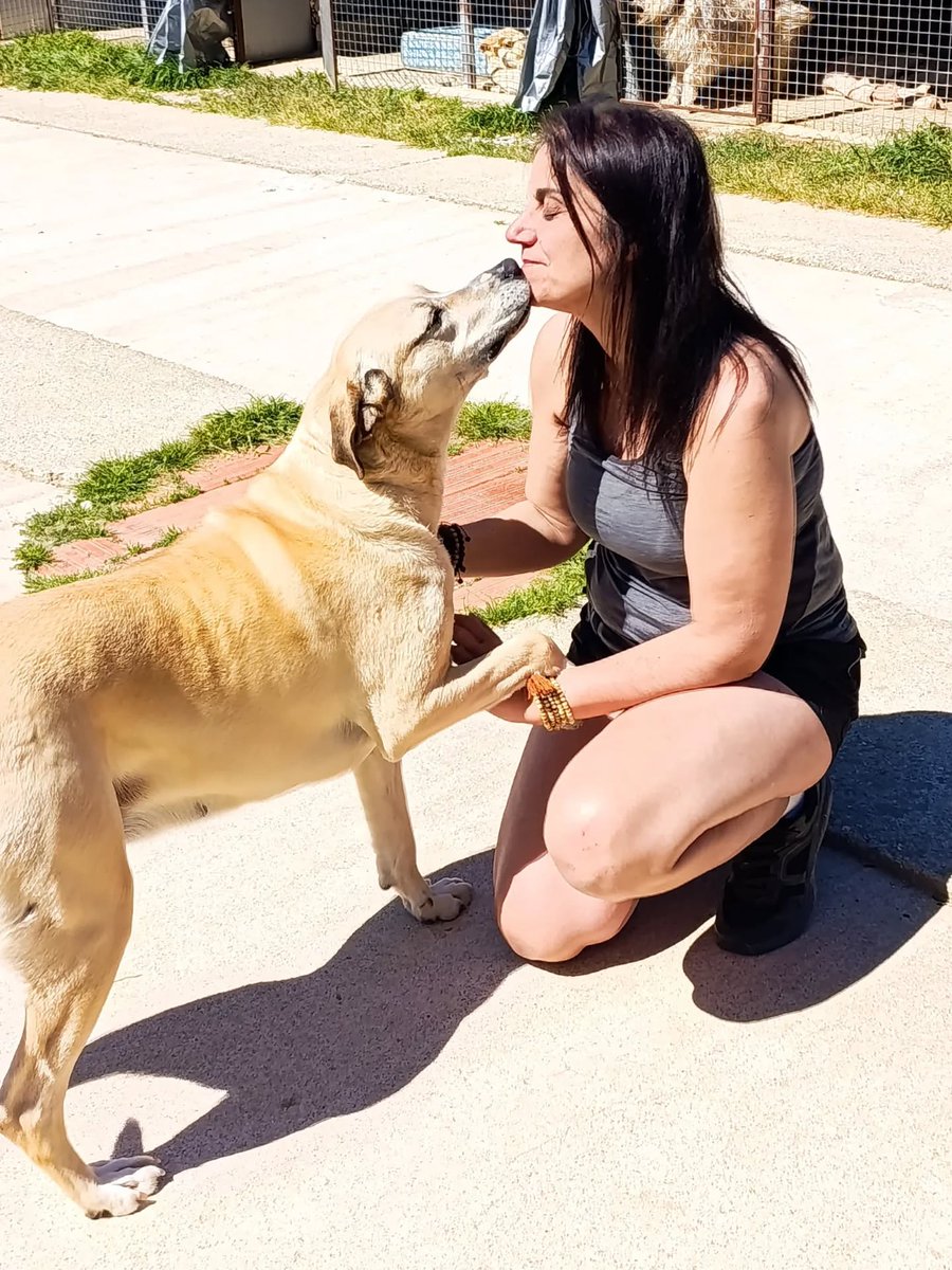 Santuari DAYA tweet media