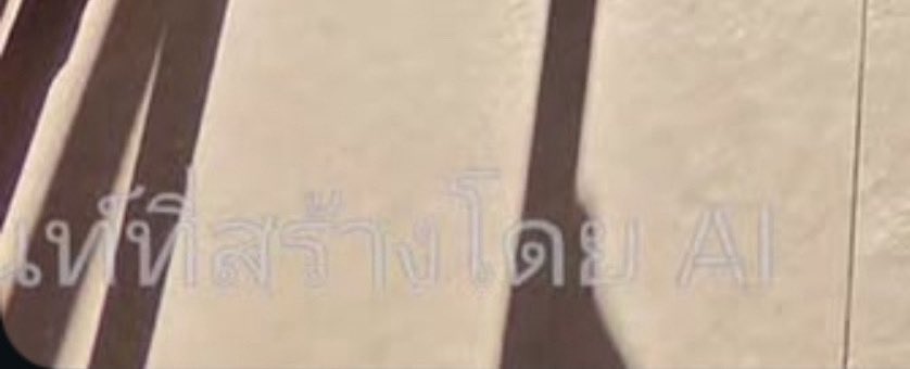 버블패트와 오렌지 🍊(slow) tweet media