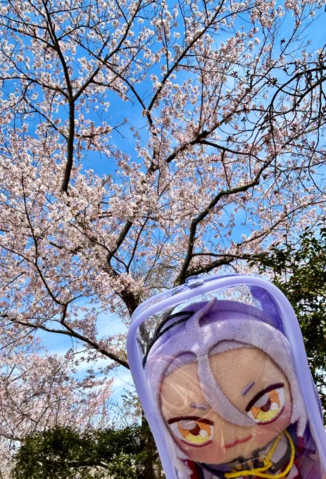 友人とお花見に行ってきた