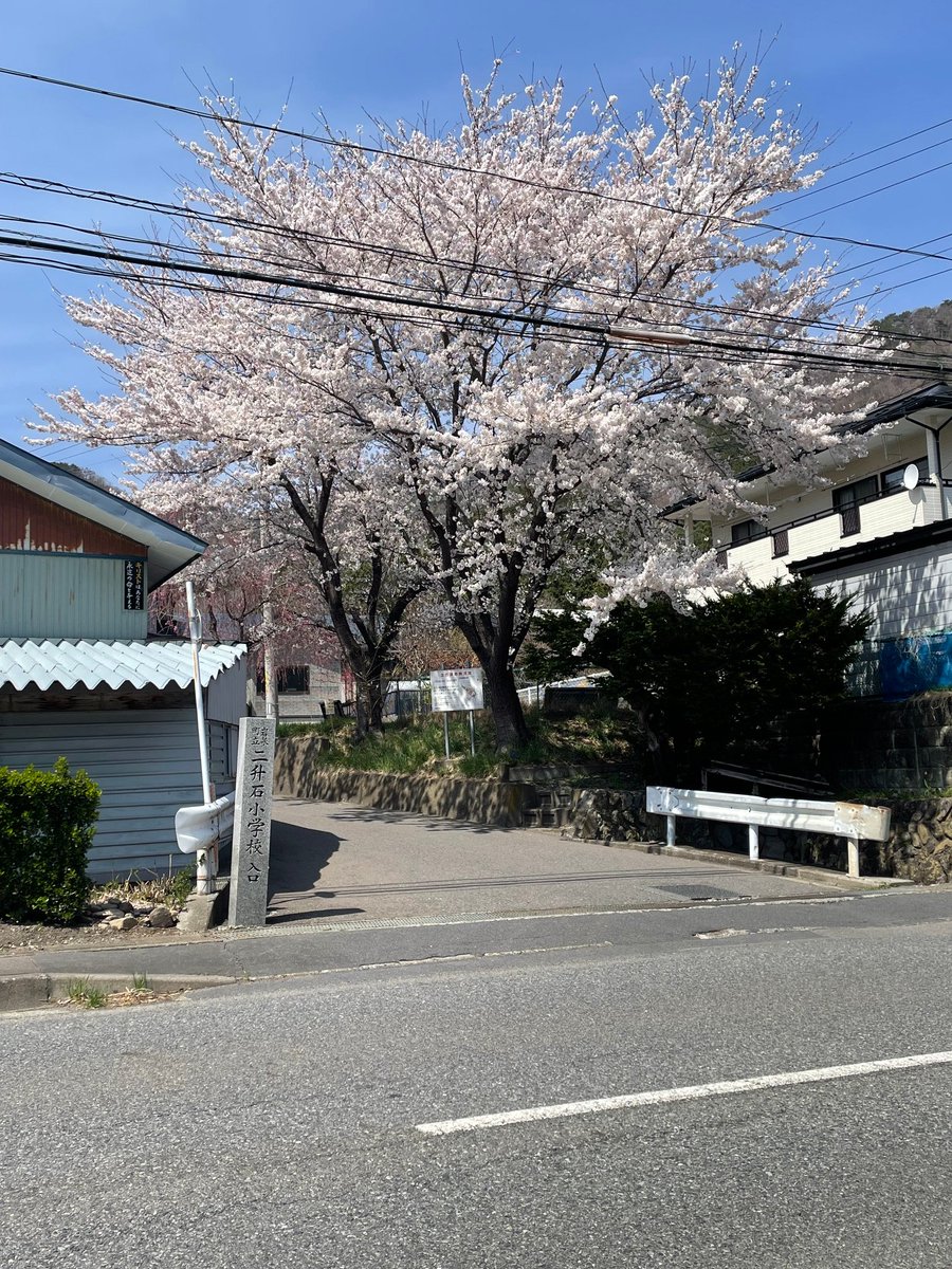 潮騒の宿　ホテル羅賀荘（らがそう）＃北山崎断崖クルーズ tweet media