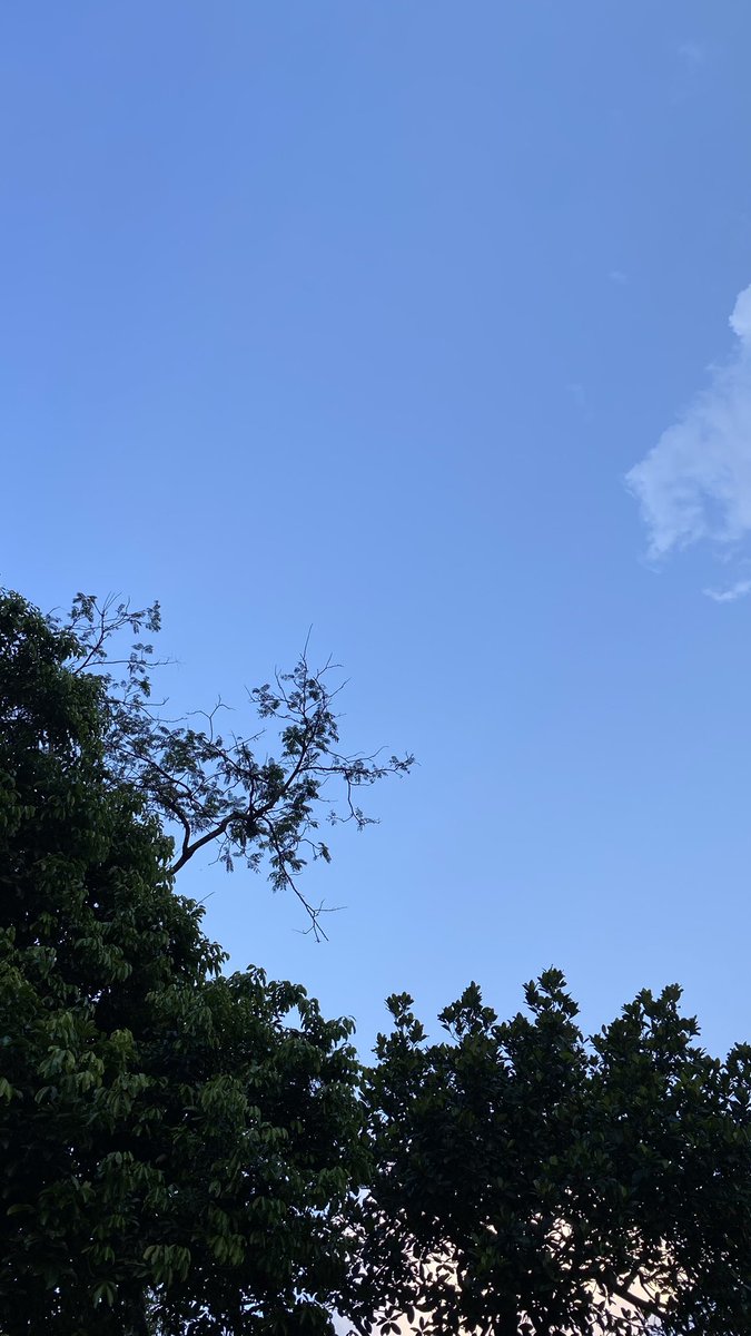 ˃ ⤙ ˂ 🇵🇸 tweet media