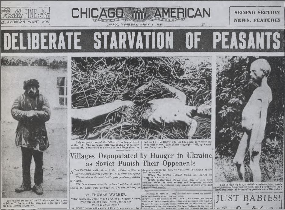 Mатільда tweet media