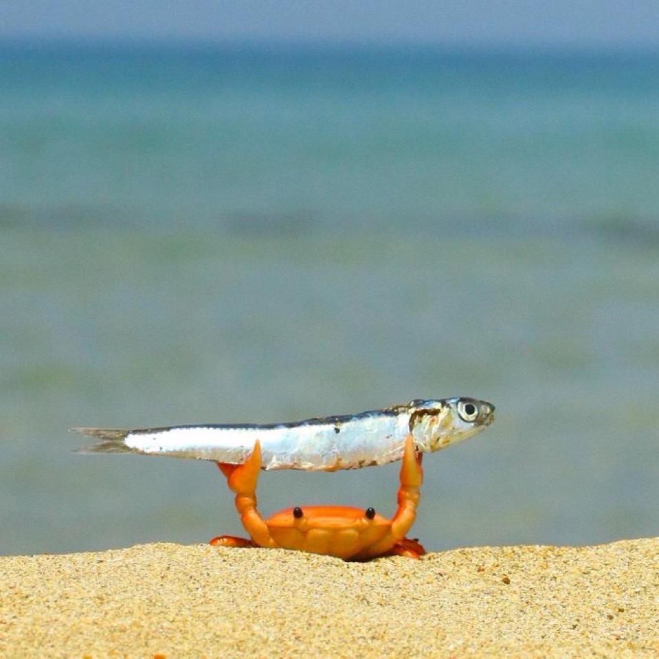 insane poses tweet media