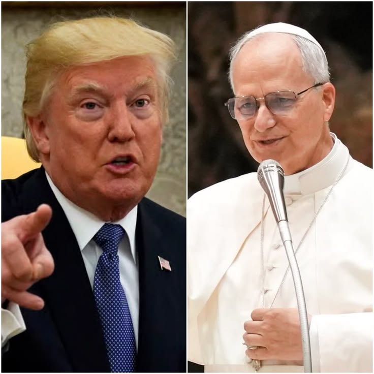 MAGA NEWS tweet media