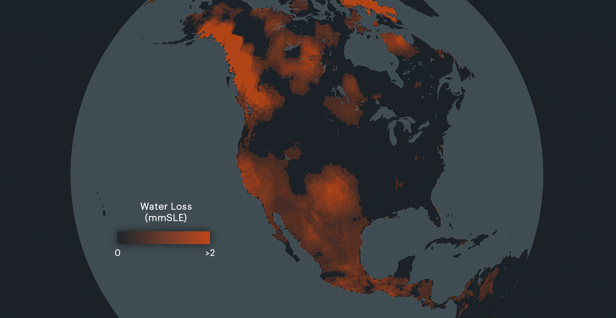 Roger Hallam tweet media